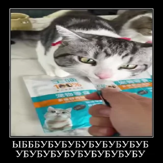 😂 emoji Няшики by @DuoSticker_bot Telegram sticker 5 of 25