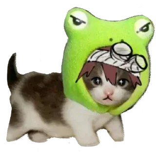 🐸 emoji каменные мемы (by ivvka_ww) Telegram sticker 5 of 19