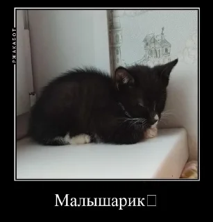 😴 emoji Сэм СТИКЕРЫ?😱😱😱 Telegram sticker 10 of 14