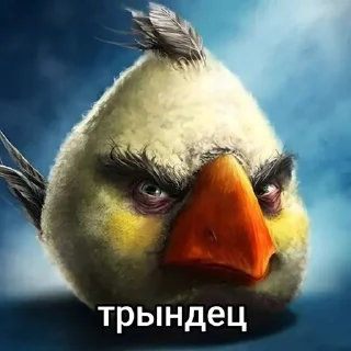 🌟 emoji Сидим не рыпаемся :: V2ggvp Telegram sticker 3 of 70