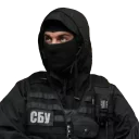 🤨 emoji Служба Безпеки України Telegram sticker 2 of 14