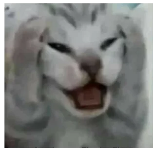 😵 emoji коты Telegram sticker 1 of 120