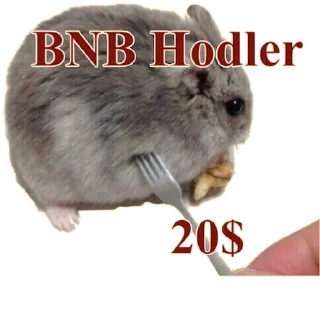 😰 emoji BNB = Rocket @electrolos Telegram sticker 5 of 32