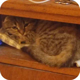 ⛓ emoji Вася Telegram sticker 14 of 33