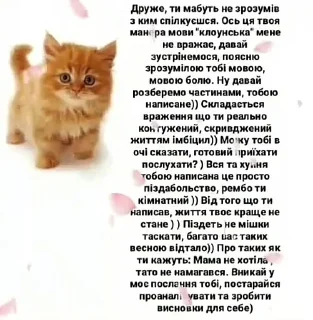 🐱 emoji Ржака Telegram sticker 10 of 80