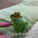 🤠 emoji Random bird stuff Telegram sticker 16 of 120