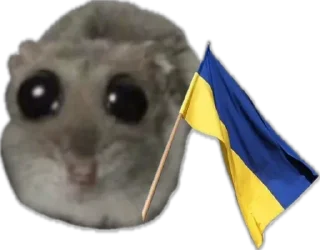 🇺🇦 emoji сумна миша Telegram sticker 22 of 44