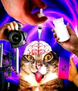 🧠 emoji Смешные мемы Telegram sticker 7 of 54