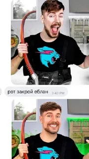 🌟 emoji Мистер бист всратыш @tgskkijj Telegram sticker 11 of 56