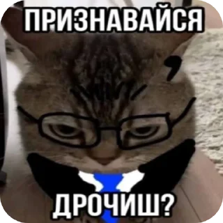 🐱 emoji Мои крч Telegram sticker 18 of 36