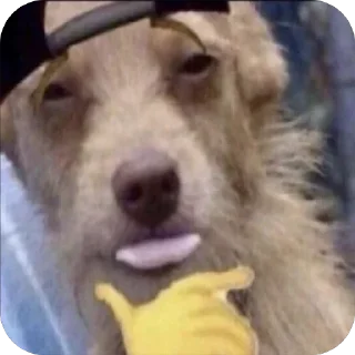 😚 emoji раша параша Telegram sticker 17 of 107