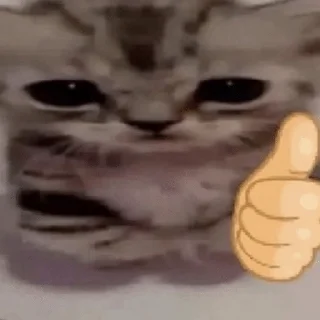 👍 emoji Litteraly some shit by @mkhasarah Telegram sticker 17 of 42