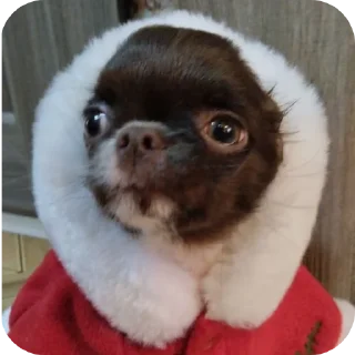 🤔 emoji Филяшка😍 Telegram sticker 17 of 27