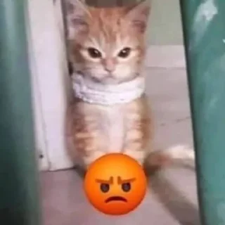 😡 emoji МемПак Telegram sticker 6 of 43