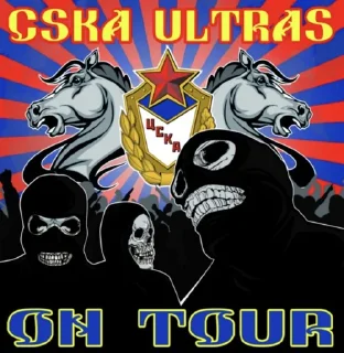 🧐 emoji CSKA AND ONLY CSKA! Telegram sticker 13 of 37