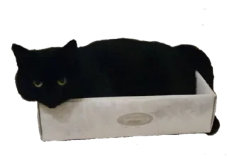 📦 emoji Сладкая булочка <3 Telegram sticker 19 of 42