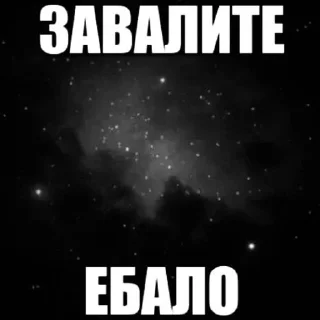 🌟 emoji Мишка Дура Telegram sticker 21 of 39