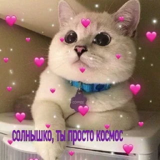 🌟 emoji милые пикчи. <3 💗 Telegram sticker 20 of 63