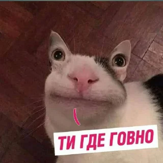 🙃 emoji гы Telegram sticker 13 of 120