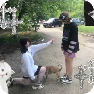 👍 emoji А тя это ебать не должно Telegram sticker 14 of 17