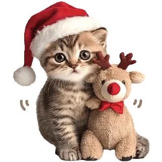 🐱 emoji Зимние котики @Nyasticks Telegram sticker 13 of 34