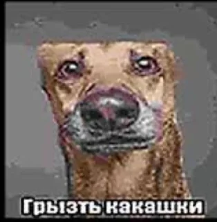 😍 emoji sticker by@пидор Telegram sticker 9 of 44