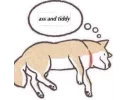 🐕 emoji DigitalLover's Shitposting Pack Telegram sticker 15 of 120