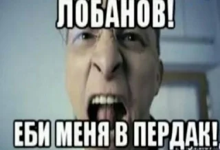 🇪🇺 emoji Головные беды дер ваге Telegram sticker 23 of 45