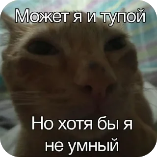 Sticker from meme