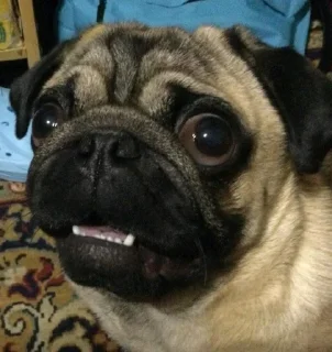 😵 emoji Prikolnie smiles Telegram sticker 5 of 17