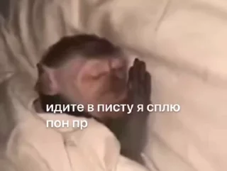 😴 emoji Пон Telegram sticker 5 of 50