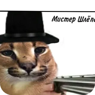 🐱 emoji Нечто Telegram sticker 5 of 51