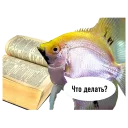 😕 emoji fish Telegram sticker 9 of 15