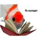😕 emoji fish Telegram sticker 14 of 15