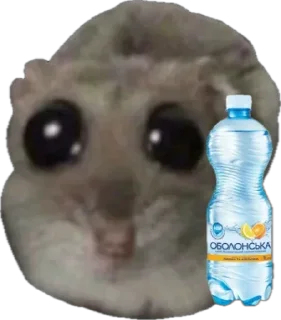 🧃 emoji сумна миша Telegram sticker 10 of 44
