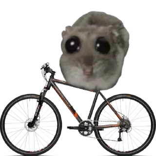 🚲 emoji сумна миша Telegram sticker 21 of 44