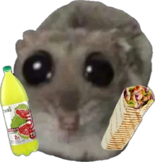 🌯 emoji сумна миша Telegram sticker 11 of 44