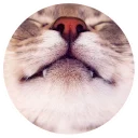 ☺️ emoji Nice Cats @StikeryTG Telegram sticker 1 of 20