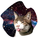 😛 emoji SpaceCats @StikeryTG Telegram sticker 21 of 25