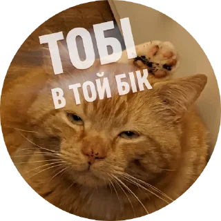 👉 emoji Емоційні тварини Telegram sticker 15 of 38