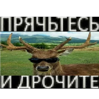 🦌 emoji Курсед энд Блессед Telegram sticker 12 of 120