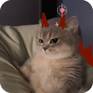🫥 emoji Диас энд Айми Telegram sticker 13 of 15
