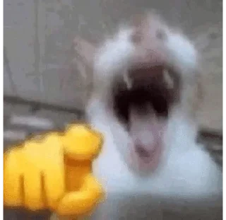 🌟 emoji Memes Telegram sticker 3 of 71