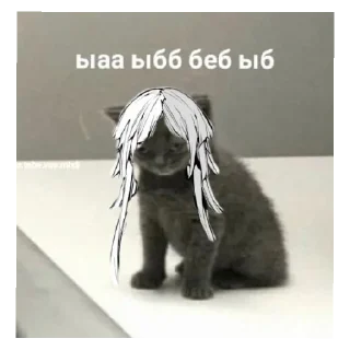 😄 emoji Сосите чурки Telegram sticker 23 of 26