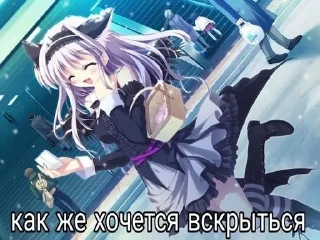 Sticker from я дрочу на лисичку из мимимишек