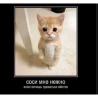 🔞 emoji соня самая лучшая Telegram sticker 5 of 20