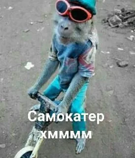 🙈 emoji Монке хмммм Telegram sticker 12 of 50