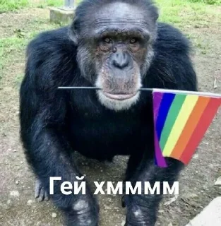 🙊 emoji Монке хмммм Telegram sticker 15 of 50