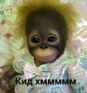 🙈 emoji Монке хмммм Telegram sticker 24 of 50