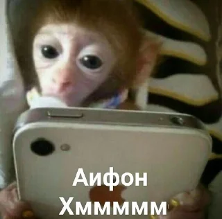 🙈 emoji Монке хмммм Telegram sticker 23 of 50